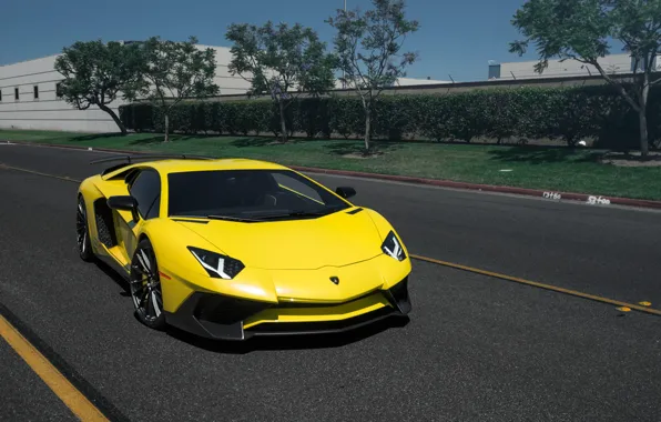 Картинка Lamborghini, Aventador, Rotiform DVO