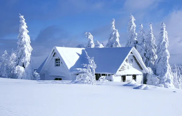 Картинка зима, небо, облака, снег, деревья, пейзаж, природа, дом