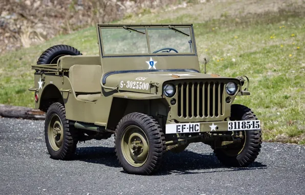 Джип, передок, 1942, Jeep, Willys, Виллис