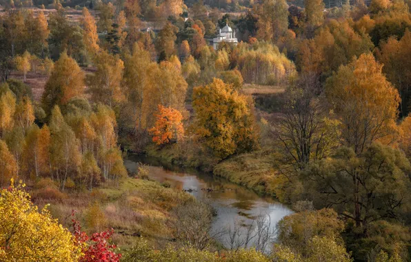 Картинка осень, деревья, пейзаж, природа, река, долина, церковь, кусты