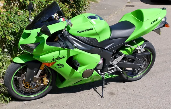 Green, Асфальт, мотоцикл, байк, кусты, motorcycle, superbike, sportbike