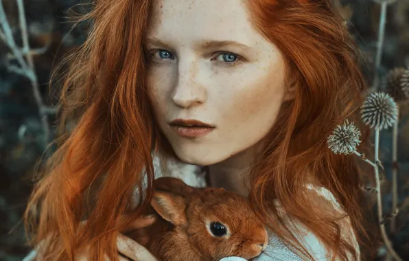 Картинка взгляд, девушка, лицо, волосы, портрет, кролик, веснушки, рыжая