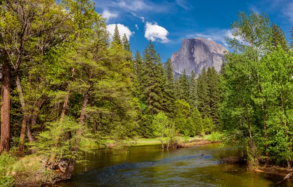 Картинка небо, облака, деревья, горы, река