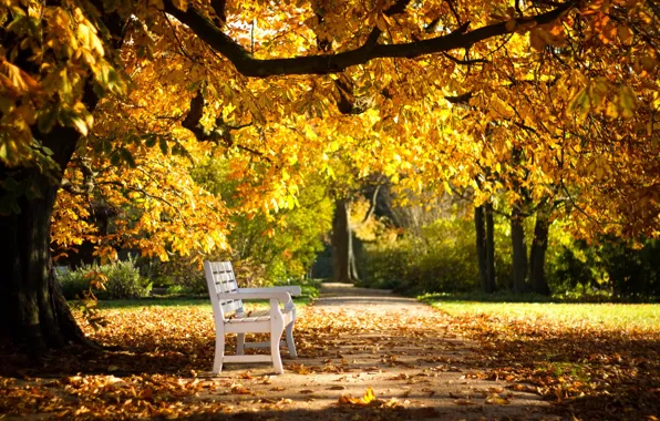 Картинка осень, парк, скамья