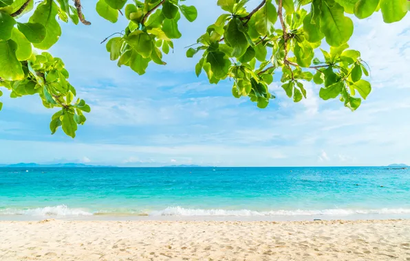 Песок, море, пляж, лето, небо, пальмы, summer, beach