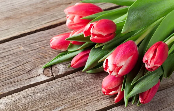 Картинка цветы, букет, тюльпаны, красные, red, wood, flowers, tulips
