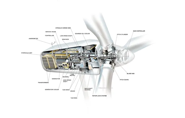 Cutaway, wind turbine, wind energy