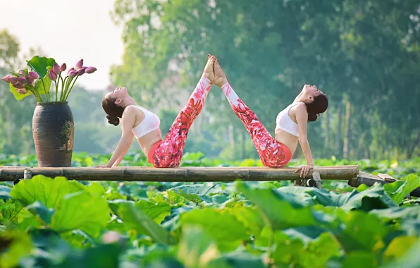 Лето, цветы, природа, девушки, концентрация, гимнастика, йога, азиатки