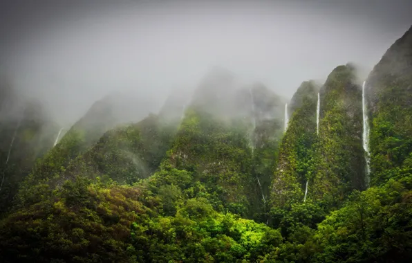 Картинка горы, туман, растительность, водопады