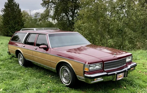 Картинка Chevrolet, Classic, Caprice, Wagon, Estate, '1988