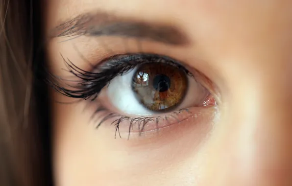 Girl, eyes, face