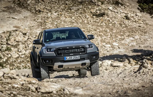 Камни, серый, Ford, вид спереди, Raptor, пикап, Ranger, 2019