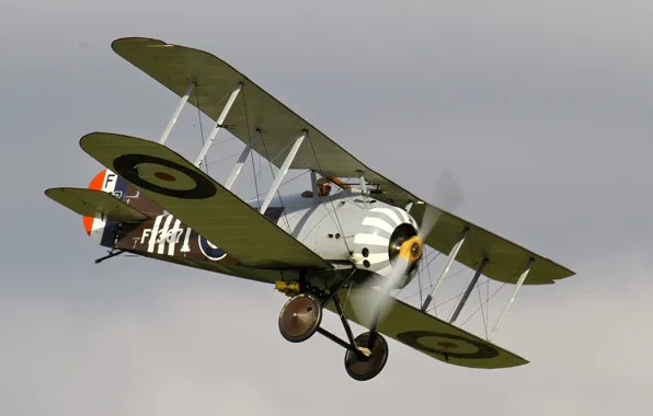 Истребитель, британский, одноместный, Первой мировой войны, времён, replica, Sopwith 7F1 Snipe