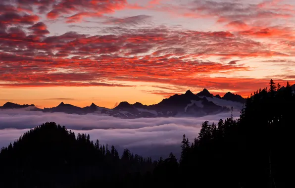Лес, небо, горы, Орегон, США, закт, Michael Hellen Photography, гористый штат