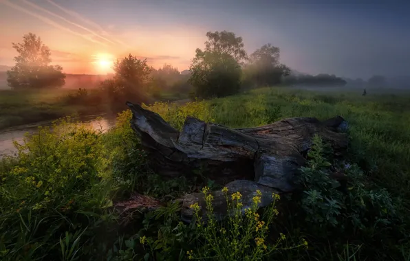 Картинка лето, солнце, лучи, деревья, закат, природа, река, Россия