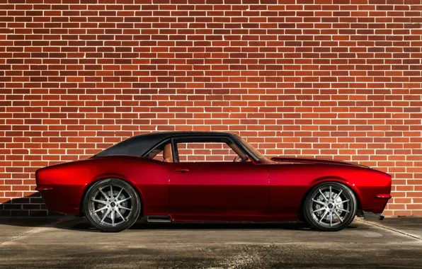 Chevrolet, Camaro, muscle car