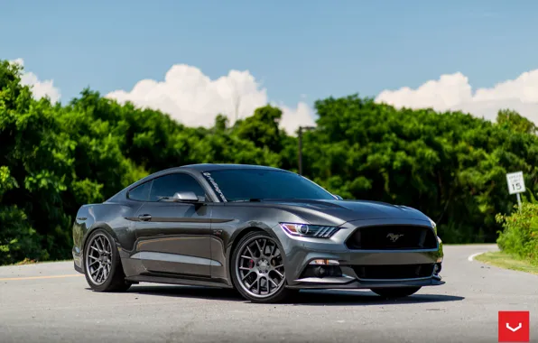 Mustang, wheels, ford, 5.0, vossen