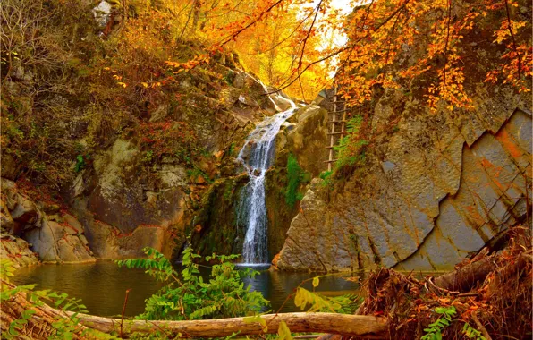 Картинка Водопад, Осень, Fall, Autumn, Waterfall