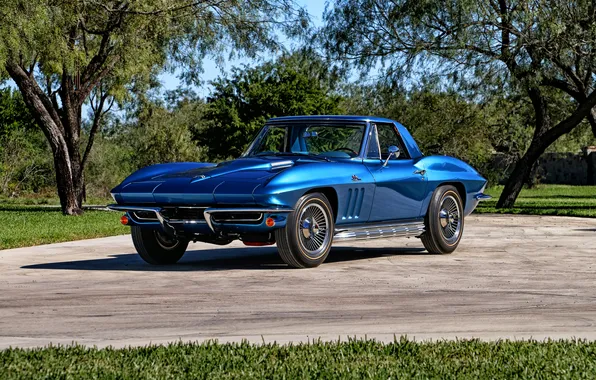 Картинка Corvette, Chevrolet, шевроле, 1965, Stingray, корветт