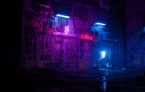 Ночь, Человек, Стиль, Render, Style, Neon, Illustration, Synth