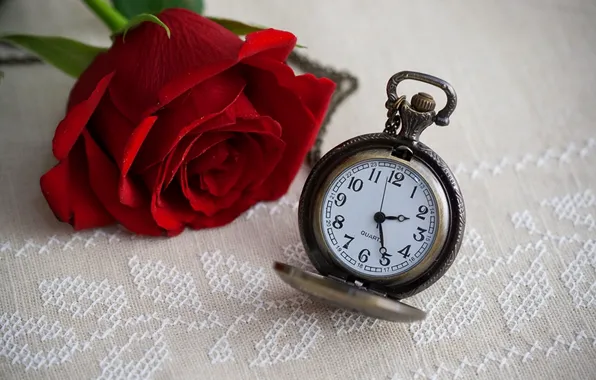 Цветок, время, часы, роза, rose, циферблат, flower, time
