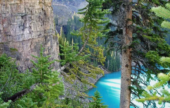 Деревья, горы, озеро, канада