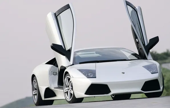 Картинка вид, Lamborghini, двери, тачки, белые, ламборджини, дорога белый, мурсилаго