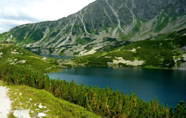 Картинка пейзаж, горы, природа, озеро, Польша, Bukowina-Tatrzanska