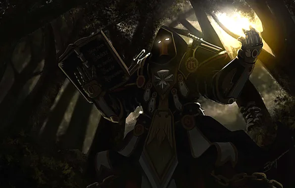 Воин, экипировка, Paladin tribute