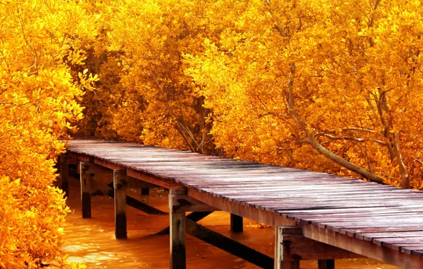 Картинка осень, деревья, причал, пирс, мостик