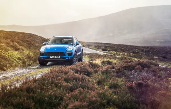 Дорога, Porsche, холм, кроссовер, Diesel, Macan S