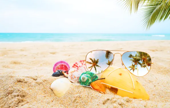 Картинка песок, море, пляж, лето, пальмы, отдых, очки, ракушки