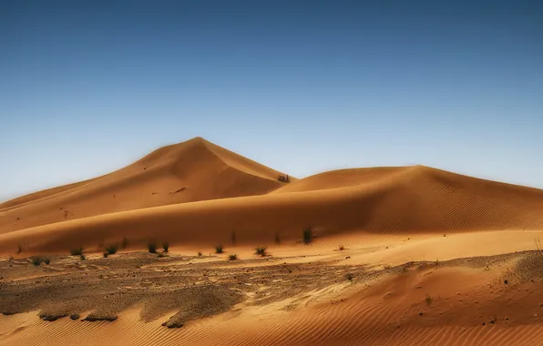 Песок, трава, природа, пустыня, дюны, dune, небо., dunes