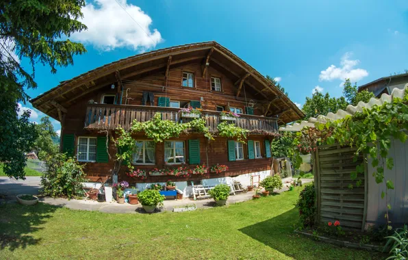 Трава, город, дом, фото, Швейцария, Wattenwil