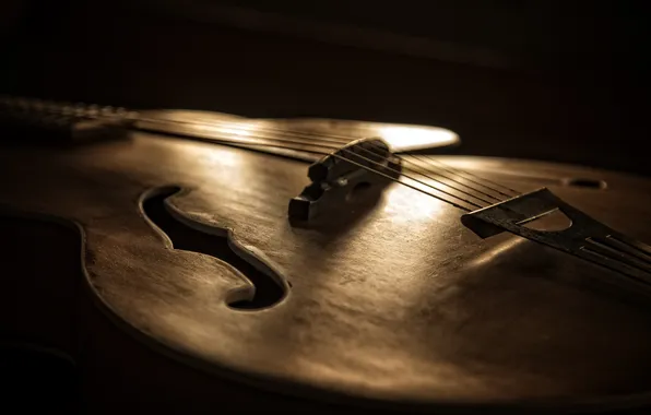 Music, guitar, macro, Tajikistan, acoustic guitar, Rock 'n' roll, country music, Kide & JC