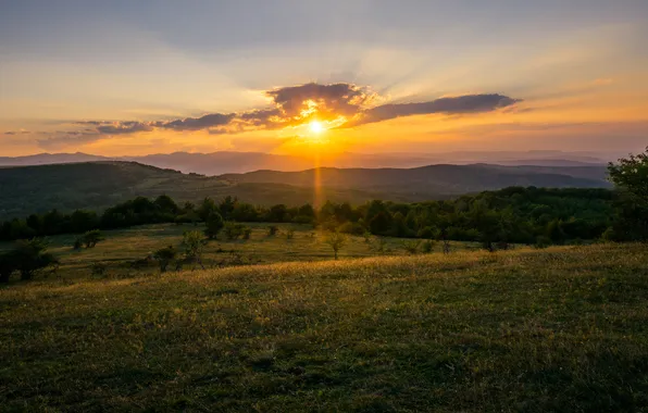 Поле, лес, небо, трава, солнце, облака, лучи, закат