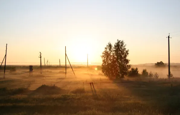Поле, туман, дерево, рассвет, Природа, утро, Россия