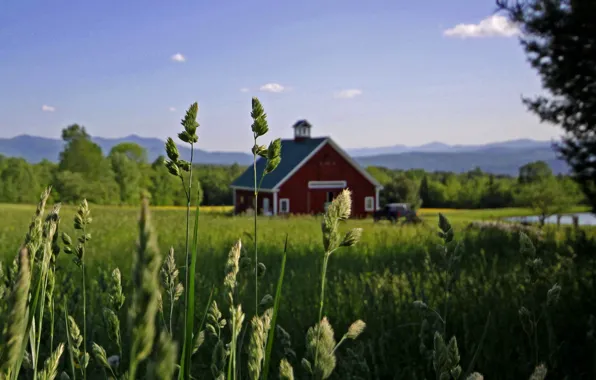 Озеро, red barn in the field, поле, лес, дома