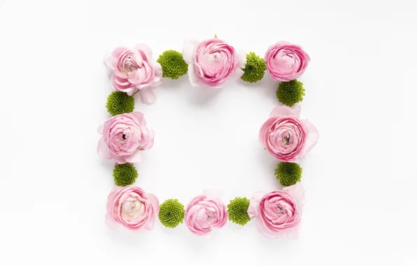 Цветы, розовые, pink, flowers, пионы, peonies, frame, floral