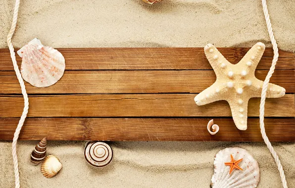 Песок, улитка, ракушки, морская звезда