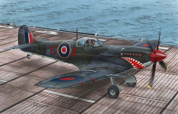 Великобритания, Supermarine Seafire, Royal Navy, Палубная авиация, Seafire Mk.II