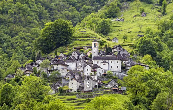 Картинка зелень, трава, деревья, гора, дома, Швейцария, склон, Canton Ticino