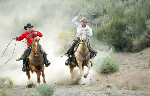 Horses, lasso, two cowboys