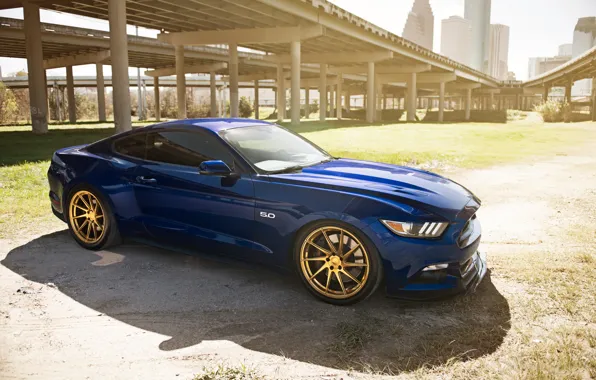 Mustang, ford, blue, 5.0, gts