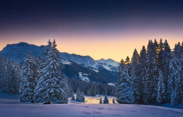 Картинка зима, лес, снег, горы, утро, Альпы