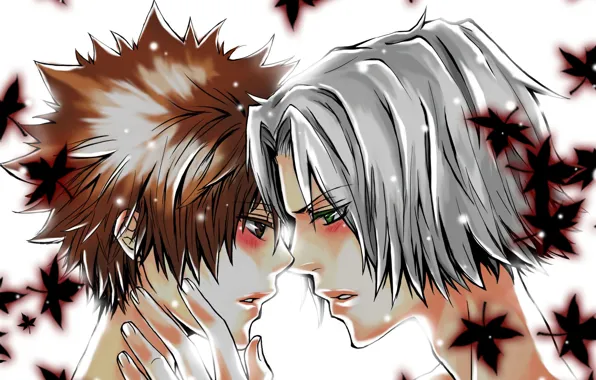 Листья, Katekyo Hitman Reborn, Учитель мафиози Реборн, Гокудера Хаято, Савада Тсунаёши