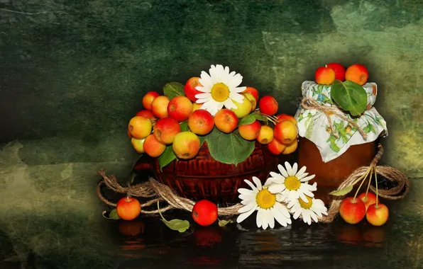 Цветы, природа, настроение, яблоки, ромашки, красота, ваза, корзинка