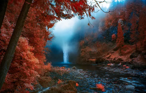 Картинка осень, природа, туман, водопад, United States, Washington, Snoqualmie Falls
