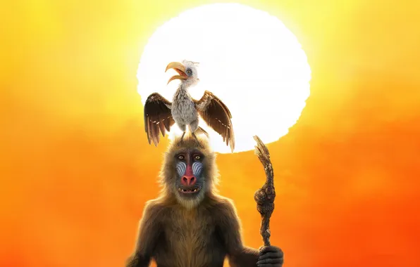 Солнце, птица, обезьяна, Mufasa: The Lion King