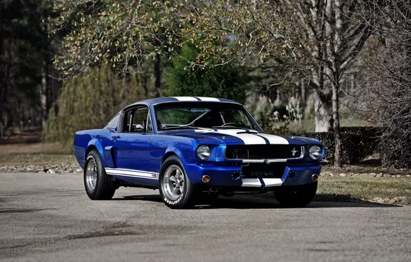 Mustang, Ford, Shelby, мустанг, форд, шелби, 1966, GT350R